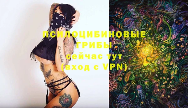мдма Горно-Алтайск