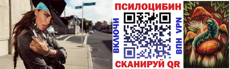 Купить закладки  Новая Ляля  Псилоцибиновые грибы Cubensis 