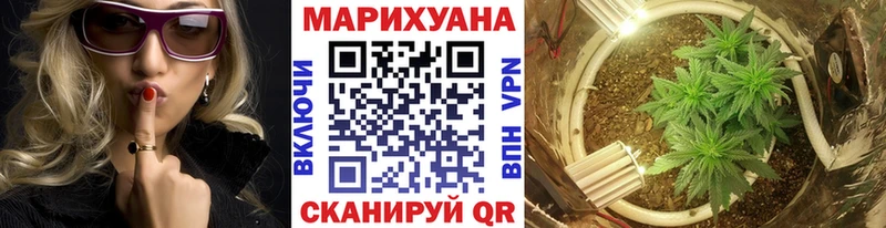 Купить  Новая Ляля  Шишки марихуана ГИДРОПОН 